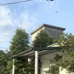 Tham quan nhà yến